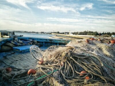 Best Fishing Nets for a Large Catch